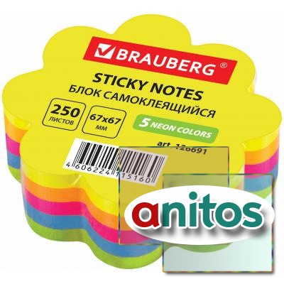   (), , BRAUBERG,  