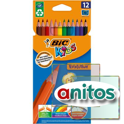   12 6- BIC Evolution 829029