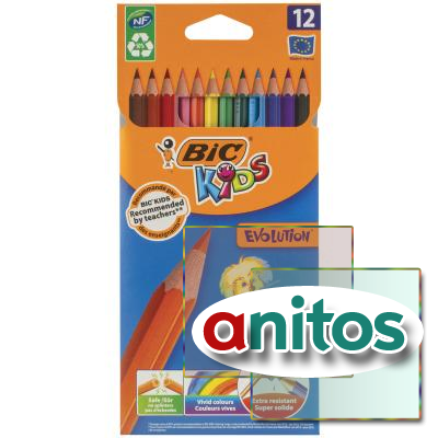   BIC 