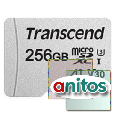   Transcend 300S-A microSDXC 256GB (TS256GUSD300S-A)