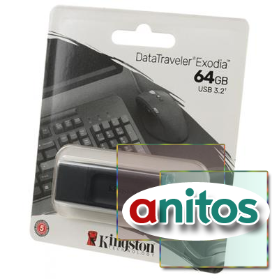 KINGSTON USB 3.2 Gen 1 64GB DataTraveler Exodia    BL1