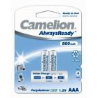 Camelion AAA800mAh/2BL   AlwaysReady