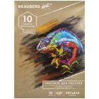   ,    630 /2, 297x414 , 10 ., BRAUBERG ART CLASSIC, 105917