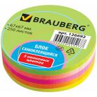   (), , BRAUBERG,  