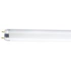   Osram . L 36W/640 G13 4000 .. 25/.