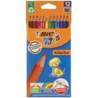   BIC 