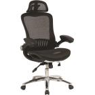  S_BN_Hg_EChair-552 TTW Net  , 