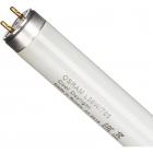   Osram . L 36W/765 G13 6400 .. 25/.