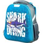  1School Shark Diving,  , 2 ., . 