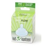  Klean Kanteen fast flow 2 