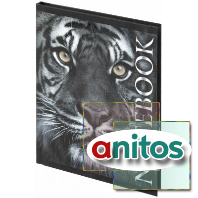    (110147 ) 6, 80 .,  ,  , , BRAUBERG, 