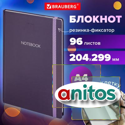      96 .,   4 204290 , BRAUBERG, 