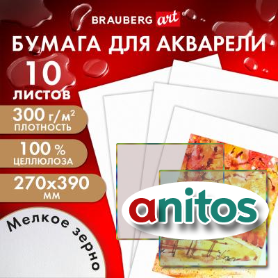    300 , 270x390 ,  , 10 , BRAUBERG ART PREMIERE, 115334