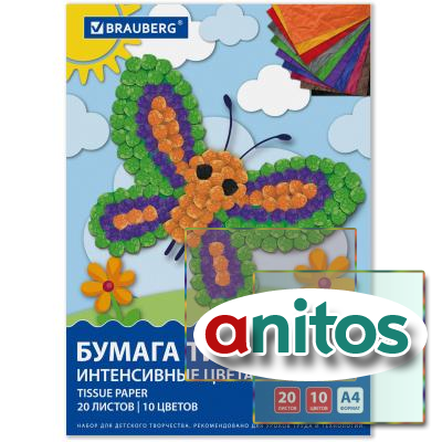    17 /2, 4 (210297 ), 20 , 10  ,  , BRAUBERG, 116498