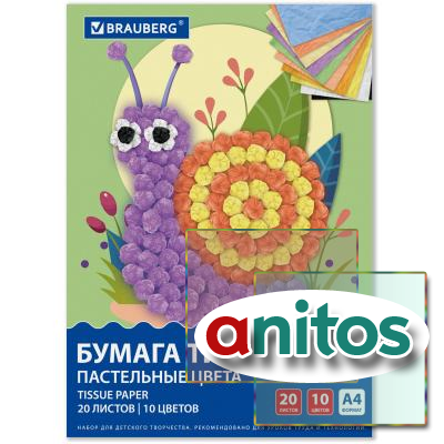    17 /2, 4 (210297 ), 20 , 10  ,  , BRAUBERG, 116497