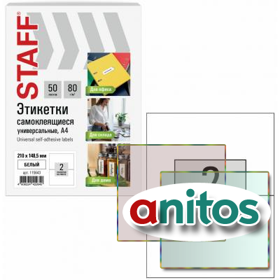   210148,5 , 2 , , 80 /2, 50 , STAFF BASIC, 115643