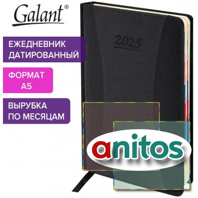   2025 5 148218  GALANT 