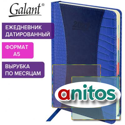   2025 5 148218  GALANT 