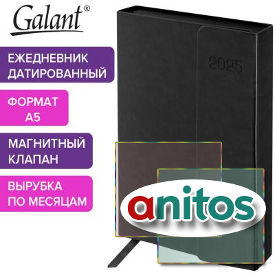   2025 5 148218  GALANT 