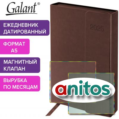   2025 5 148218  GALANT 