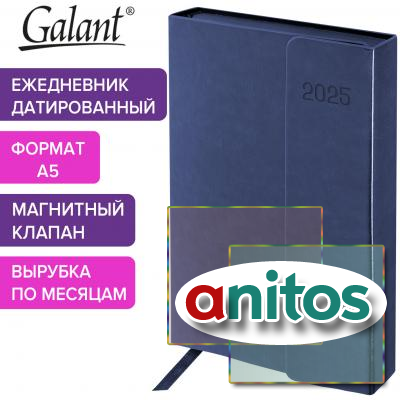   2025 5 148218  GALANT 