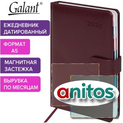   2025 5 148218  GALANT 