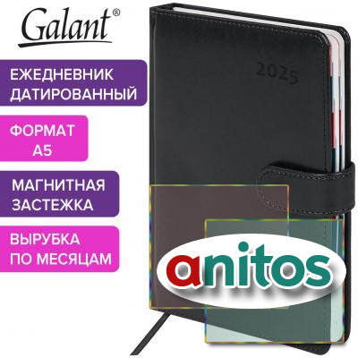  2025 5 148218  GALANT 