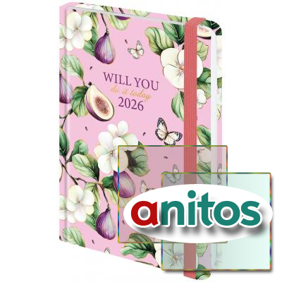   2026   145203 , 5, BRAUBERG, , , 