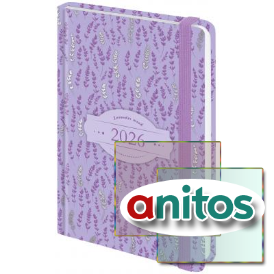   2026   145203 , 5, BRAUBERG , , 