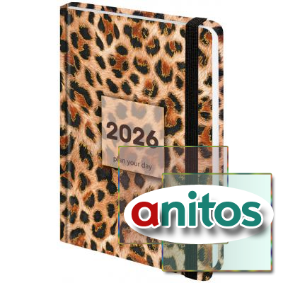   2026   145203 , 5, BRAUBERG, , , 