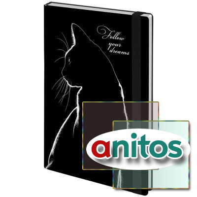     5 145203, BRAUBERG, , 160, Black cat, 116305