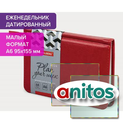   2024   95155  6, BRAUBERG 