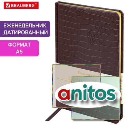   2025 5 145215  BRAUBERG 