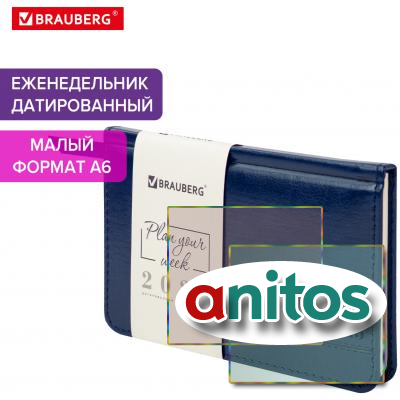   2025   95155  6, BRAUBERG 