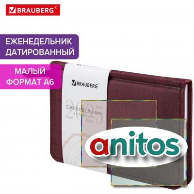   2025   95155  6, BRAUBERG 
