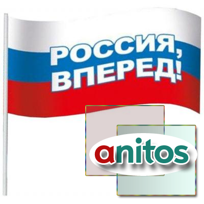 Флаг Россия вперед! 16х24 см с флагштоком