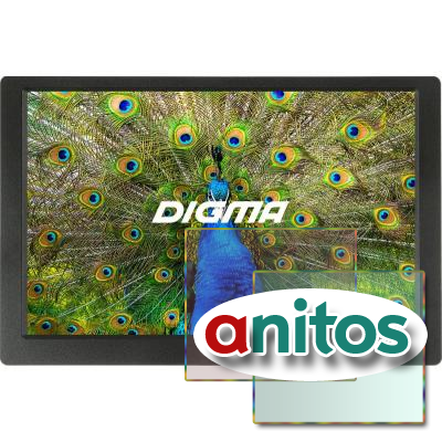   Digma 10.1 PF-1043 IPS 1280x800 .   