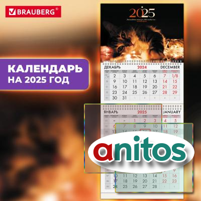    2025 ., 3 , 3 ,  , , BRAUBERG, 