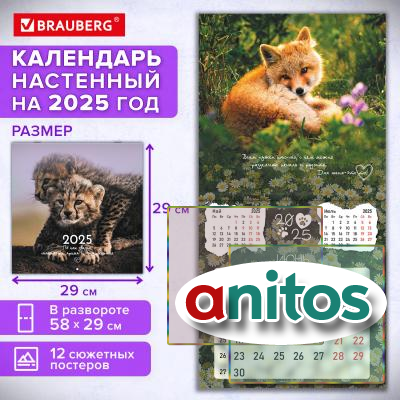    2025, BRAUBERG, 12 , 2929, 