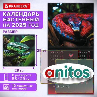    2025, BRAUBERG, 12 , 2929, 