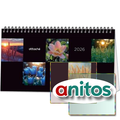 -  2026 Atache,  , 240130