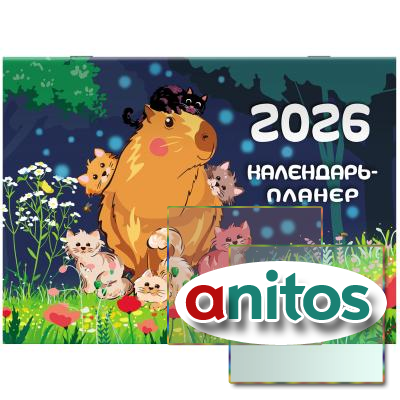-    2026 ., BRAUBERG, 12 , 29,521,3 , 