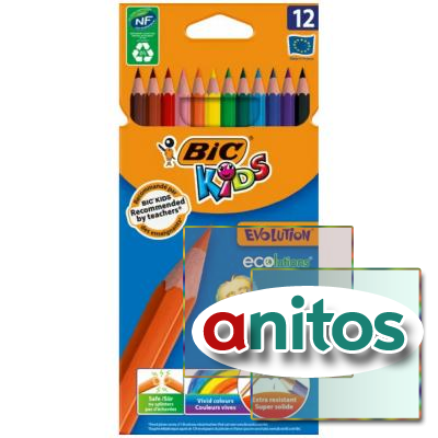   BIC 