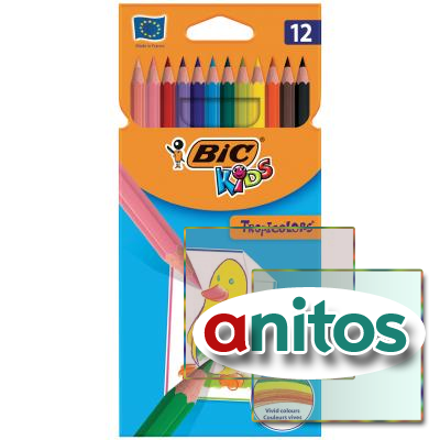   BIC 