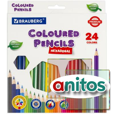   BRAUBERG PREMIUM, 24 , ,  3,3 , 181658