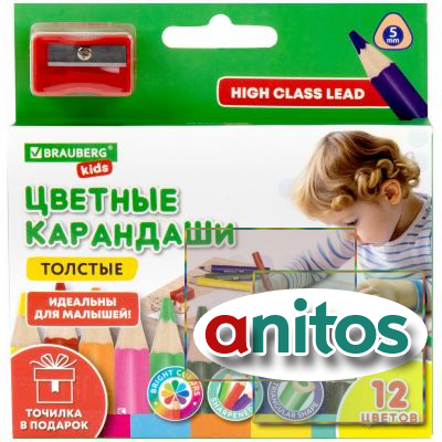      12  +   ! ,   BRAUBERG KIDS, 182058