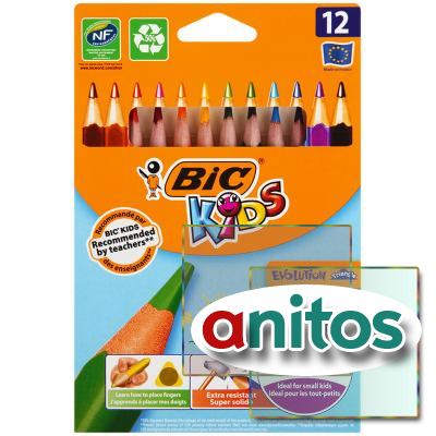    BIC 