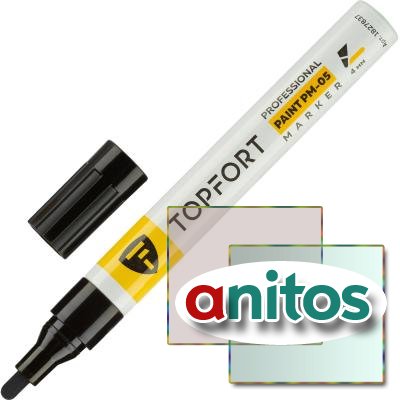   TOPFORT Paint 4  