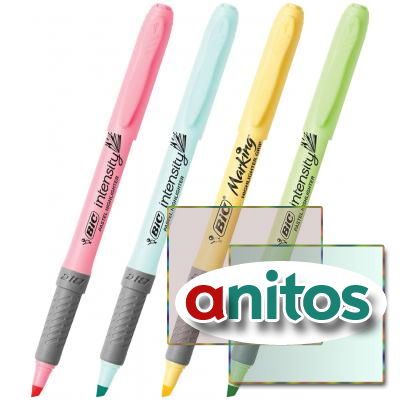   BIC 