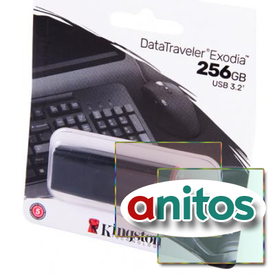  KINGSTON USB 3.2 Gen 1 256GB DataTraveler Exodia     BL1